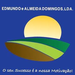 Logótipo edmundo